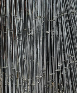 Cây sắt trụ cột